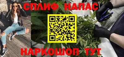 хмурый Дубна