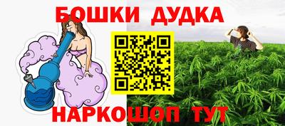 хмурый Дубна